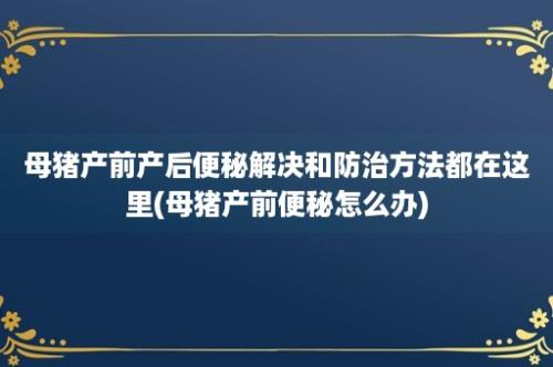 母猪产前产后便秘解决和防治方法都在这里(母猪产前便秘怎么办)