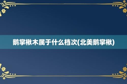 鹅掌楸木属于什么档次(北美鹅掌楸)