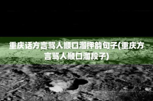 重庆话方言骂人顺口溜押韵句子(重庆方言骂人顺口溜段子)