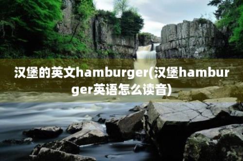 汉堡的英文hamburger(汉堡hamburger英语怎么读音)