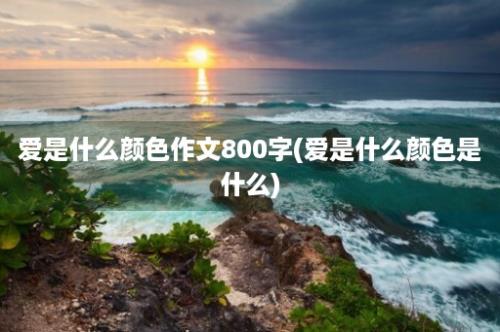 爱是什么颜色作文800字(爱是什么颜色是什么)