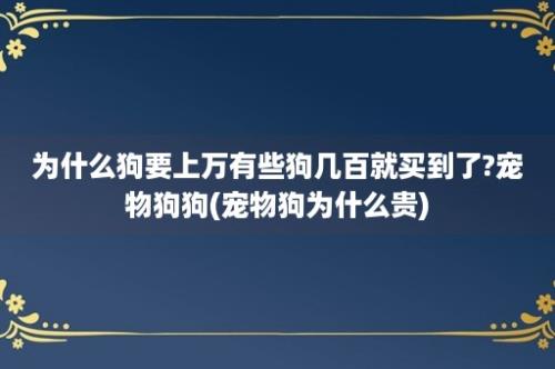 为什么狗要上万有些狗几百就买到了?宠物狗狗(宠物狗为什么贵)