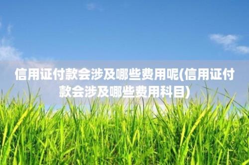 信用证付款会涉及哪些费用呢(信用证付款会涉及哪些费用科目)