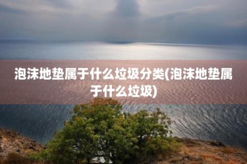 泡沫地垫属于什么垃圾分类(泡沫地垫属于什么垃圾)