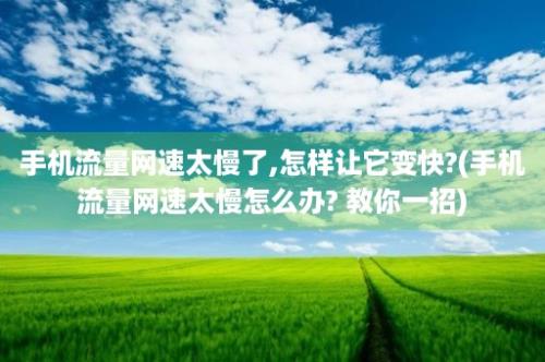 手机流量网速太慢了,怎样让它变快?(手机流量网速太慢怎么办? 教你一招)