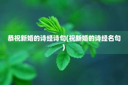 恭祝新婚的诗经诗句(祝新婚的诗经名句)