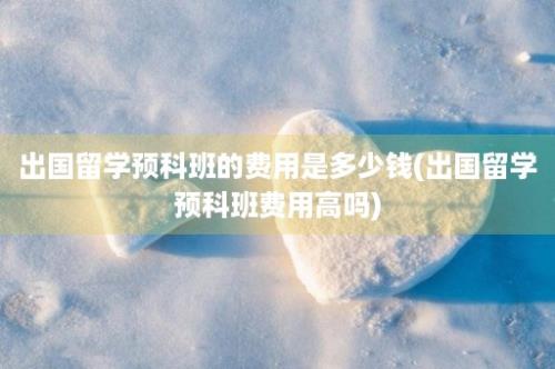 出国留学预科班的费用是多少钱(出国留学预科班费用高吗)