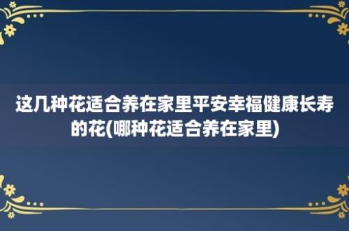 这几种花适合养在家里平安幸福健康长寿的花(哪种花适合养在家里)