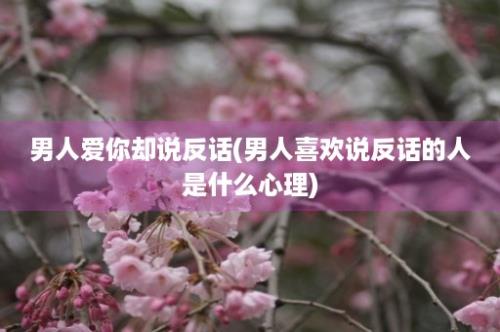 男人爱你却说反话(男人喜欢说反话的人是什么心理)