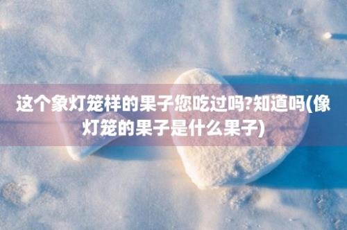 这个象灯笼样的果子您吃过吗?知道吗(像灯笼的果子是什么果子)