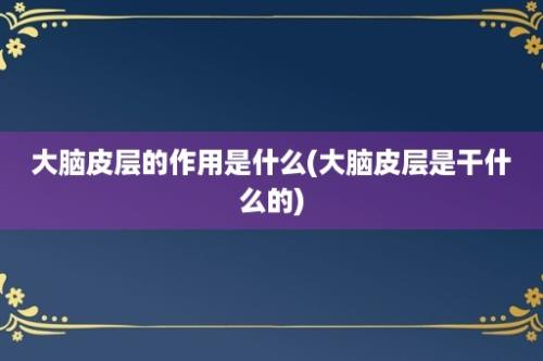 大脑皮层的作用是什么(大脑皮层是干什么的)