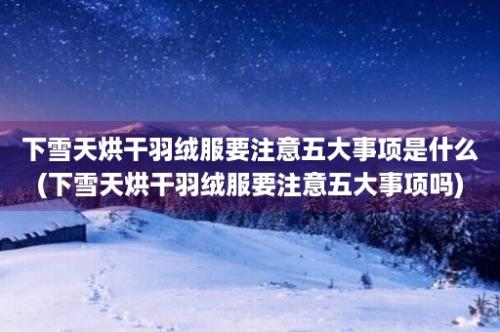 下雪天烘干羽绒服要注意五大事项是什么(下雪天烘干羽绒服要注意五大事项吗)