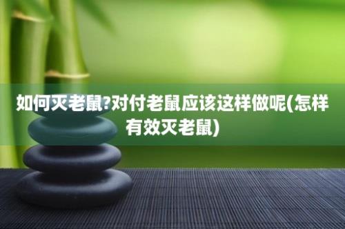 如何灭老鼠?对付老鼠应该这样做呢(怎样有效灭老鼠)