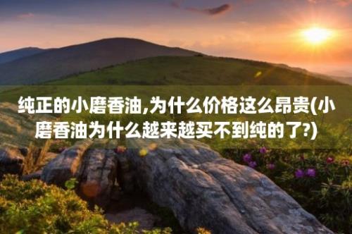 纯正的小磨香油,为什么价格这么昂贵(小磨香油为什么越来越买不到纯的了?)