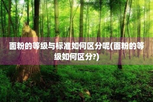 面粉的等级与标准如何区分呢(面粉的等级如何区分?)