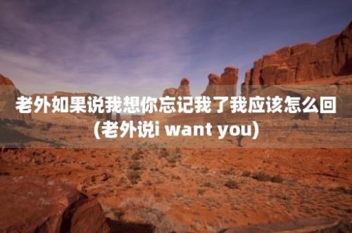 老外如果说我想你忘记我了我应该怎么回(老外说i want you)