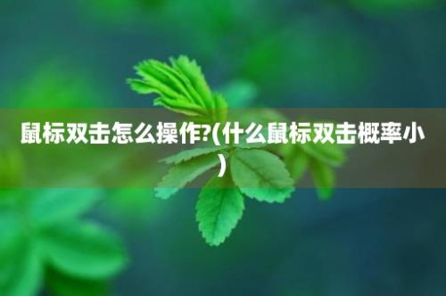 鼠标双击怎么操作?(什么鼠标双击概率小)