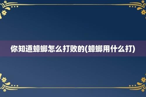 你知道蟑螂怎么打败的(蟑螂用什么打)