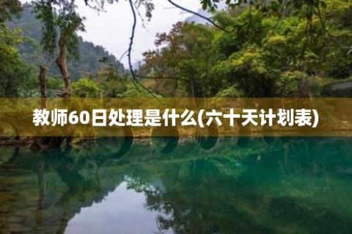 教师60日处理是什么(六十天计划表)