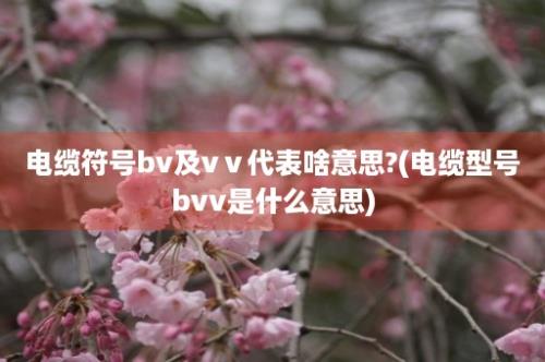 电缆符号bv及vⅴ代表啥意思?(电缆型号bvv是什么意思)