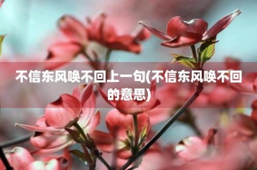 不信东风唤不回上一句(不信东风唤不回的意思)