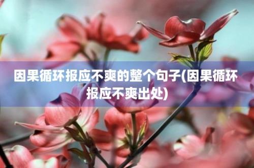 因果循环报应不爽的整个句子(因果循环 报应不爽出处)