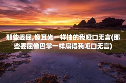 那些委屈,像耳光一样抽的我哑口无言(那些委屈像巴掌一样扇得我哑口无言)