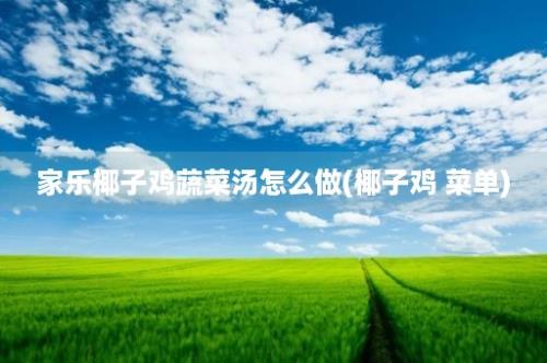 家乐椰子鸡蔬菜汤怎么做(椰子鸡 菜单)