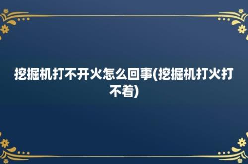 挖掘机打不开火怎么回事(挖掘机打火打不着)