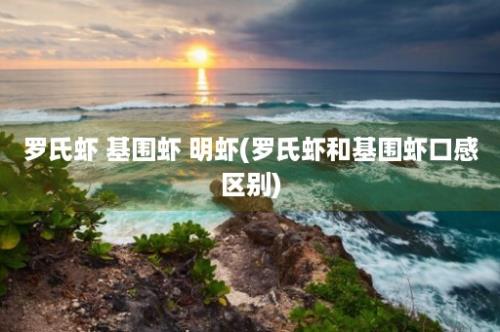 罗氏虾 基围虾 明虾(罗氏虾和基围虾口感区别)