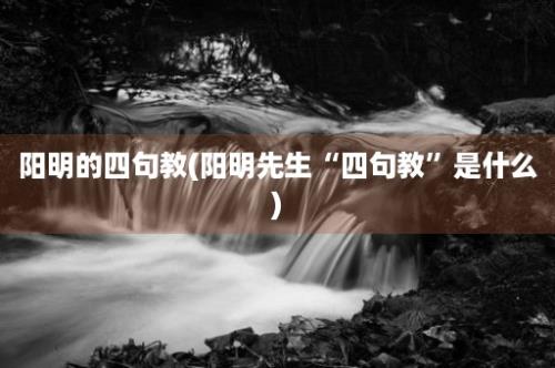 阳明的四句教(阳明先生“四句教”是什么)