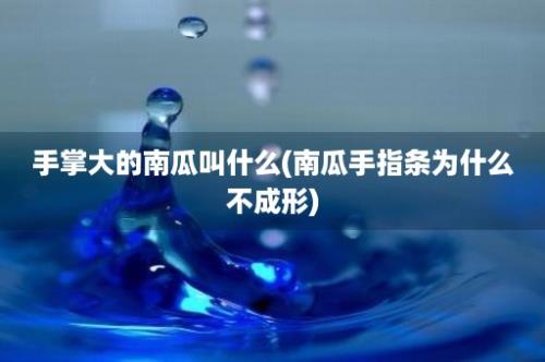 手掌大的南瓜叫什么(南瓜手指条为什么不成形)