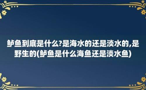 鲈鱼到底是什么?是海水的还是淡水的,是野生的(鲈鱼是什么海鱼还是淡水鱼)