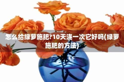 怎么给绿萝施肥?10天浇一次它好吗(绿萝施肥的方法)