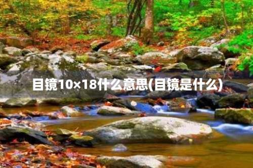 目镜10×18什么意思(目镜是什么)