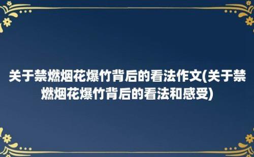 关于禁燃烟花爆竹背后的看法作文(关于禁燃烟花爆竹背后的看法和感受)