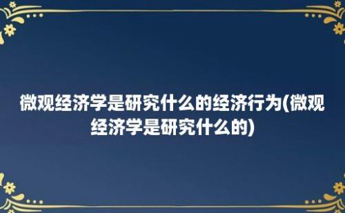 微观经济学是研究什么的经济行为(微观经济学是研究什么的)