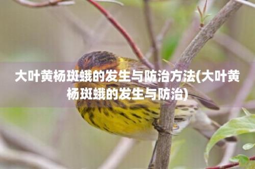 大叶黄杨斑蛾的发生与防治方法(大叶黄杨斑蛾的发生与防治)