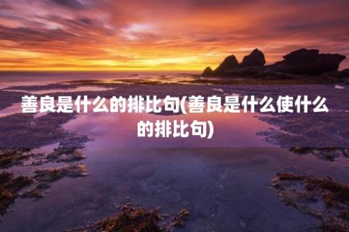 善良是什么的排比句(善良是什么使什么的排比句)