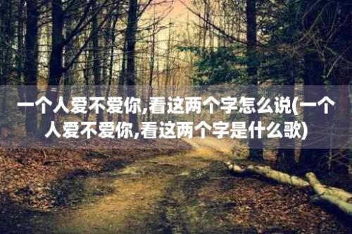 一个人爱不爱你,看这两个字怎么说(一个人爱不爱你,看这两个字是什么歌)