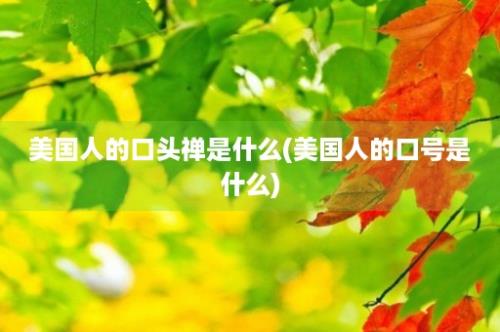 美国人的口头禅是什么(美国人的口号是什么)