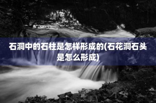 石洞中的石柱是怎样形成的(石花洞石头是怎么形成)