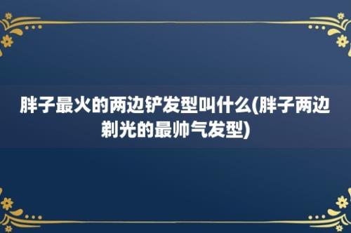 胖子最火的两边铲发型叫什么(胖子两边剃光的最帅气发型)