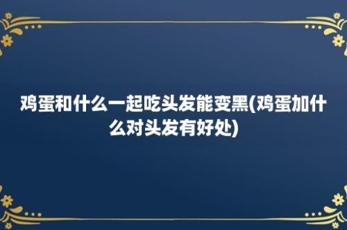 鸡蛋和什么一起吃头发能变黑(鸡蛋加什么对头发有好处)