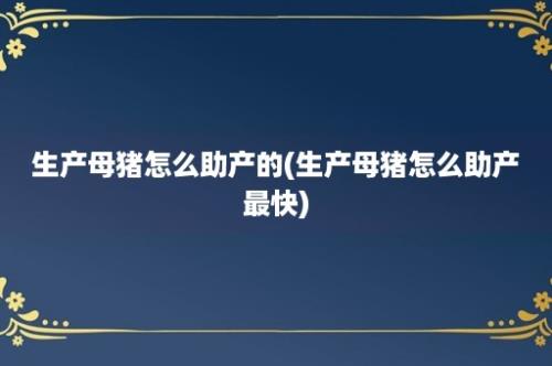 生产母猪怎么助产的(生产母猪怎么助产最快)