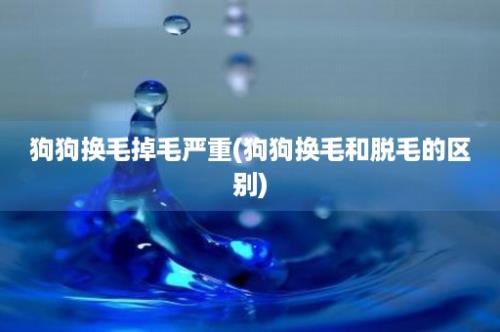 狗狗换毛掉毛严重(狗狗换毛和脱毛的区别)