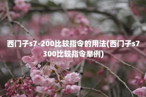 西门子s7-200比较指令的用法(西门子s7300比较指令举例)