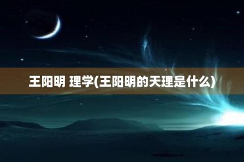 王阳明 理学(王阳明的天理是什么)