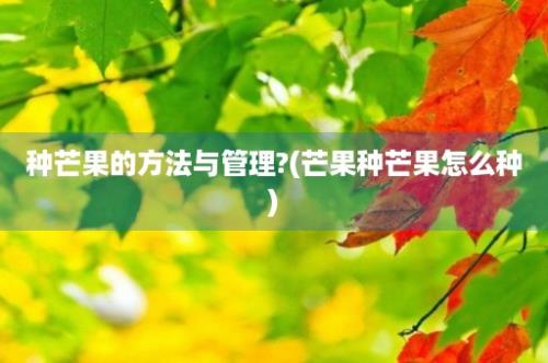 种芒果的方法与管理?(芒果种芒果怎么种)