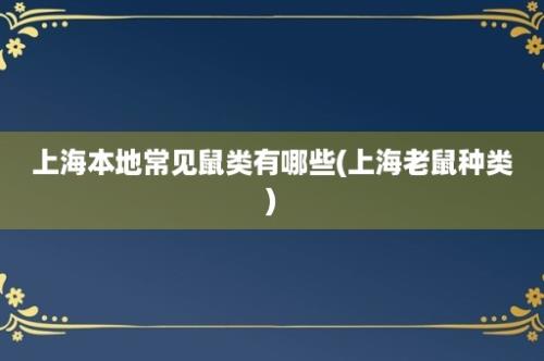 上海本地常见鼠类有哪些(上海老鼠种类)